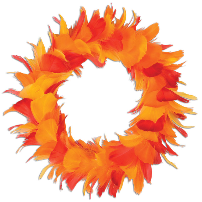 Couronne de plumes, H 12 po x l 12 po x P 2 po, Orange