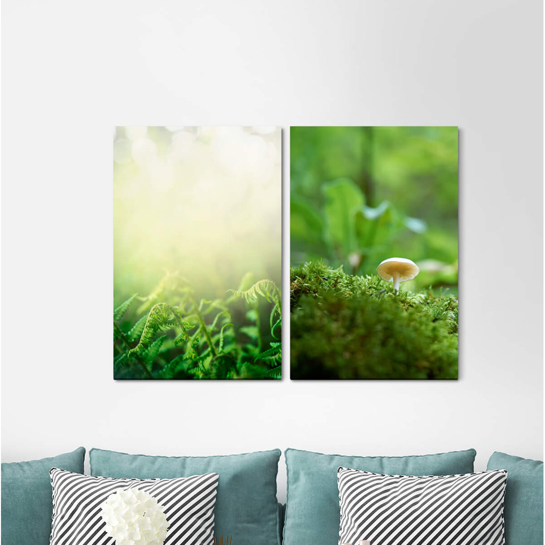 2-tlg. Leinwandbilder-Set - Fotografie „Forest Floor Mushroom Green Fresh Calming”