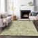 Tapis intérieur / extérieur ACY1006 Aloe