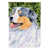 Australian Shepherd 7