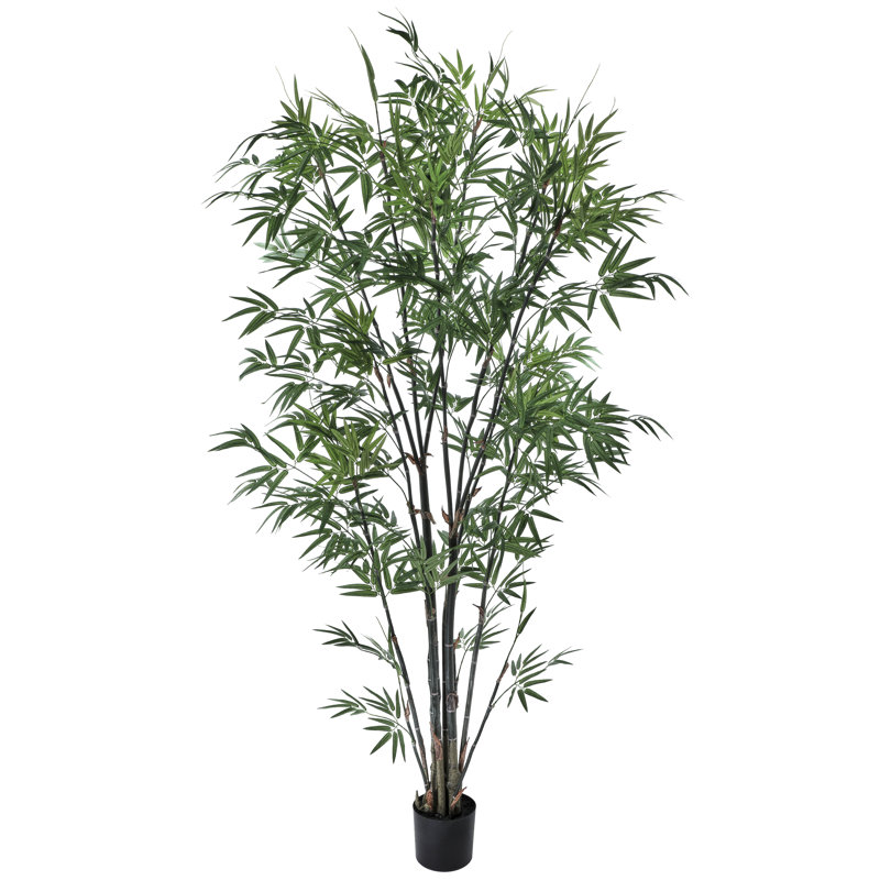 7' Potted Zen Bamboo Tree
