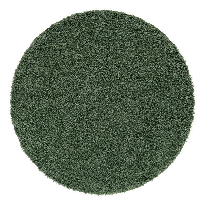 Wegate Indoor Rug, Round 10'
