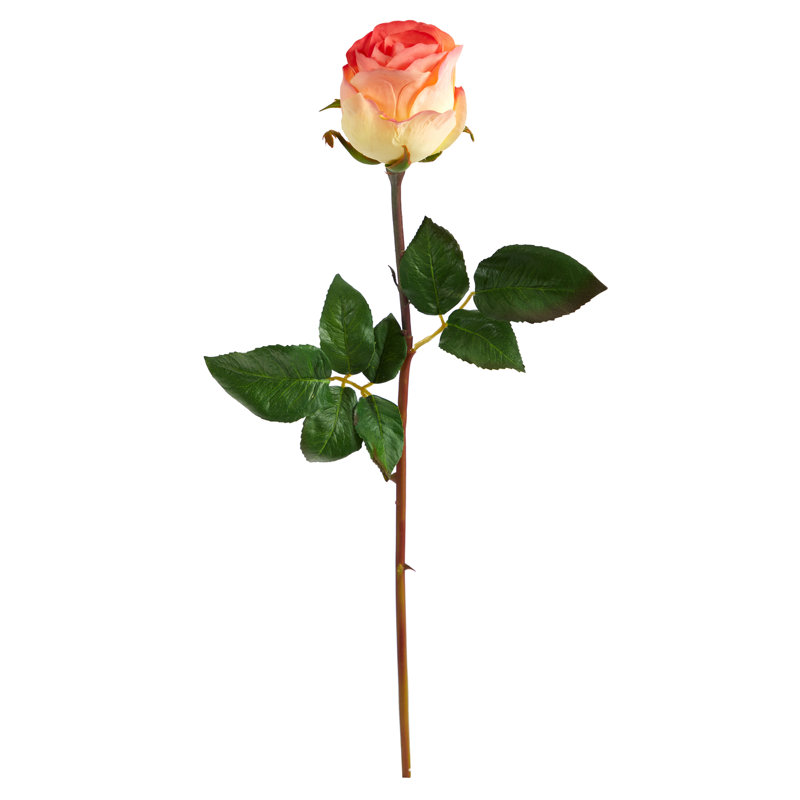 Tige de roses, H 21 po x l 3 po x P 3 po, Saumon