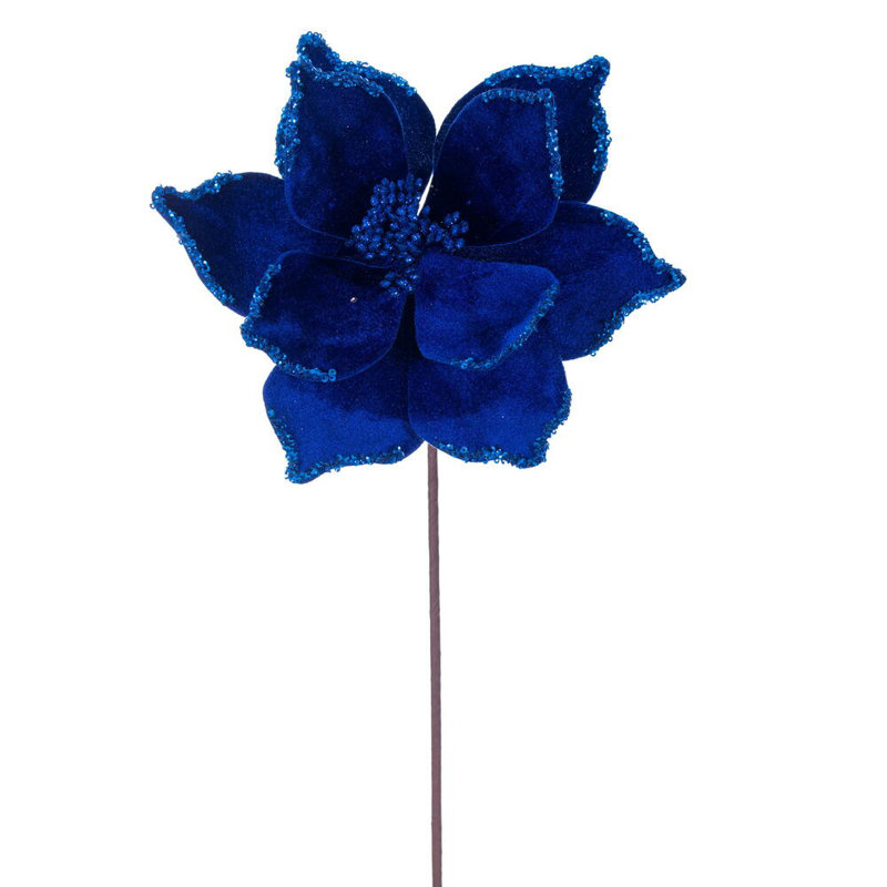 Tiges de poinsettias Cochrane, Bleu