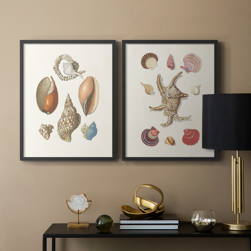 Knorr Shells & Coral I-Premium, reproduction encadrée prête à accrocher - aucun clou requis - aucun clou requis