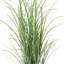 Herbe dans un pot à fleurs-1885000280