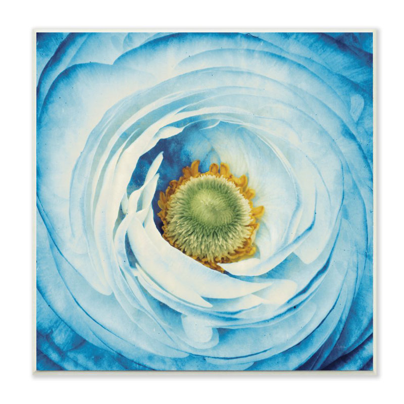 «Abstract Flower Close Up» par Aledanda - reproduction de photo, Plaque murale, H 12 po x l 12 po x P 1,5 po