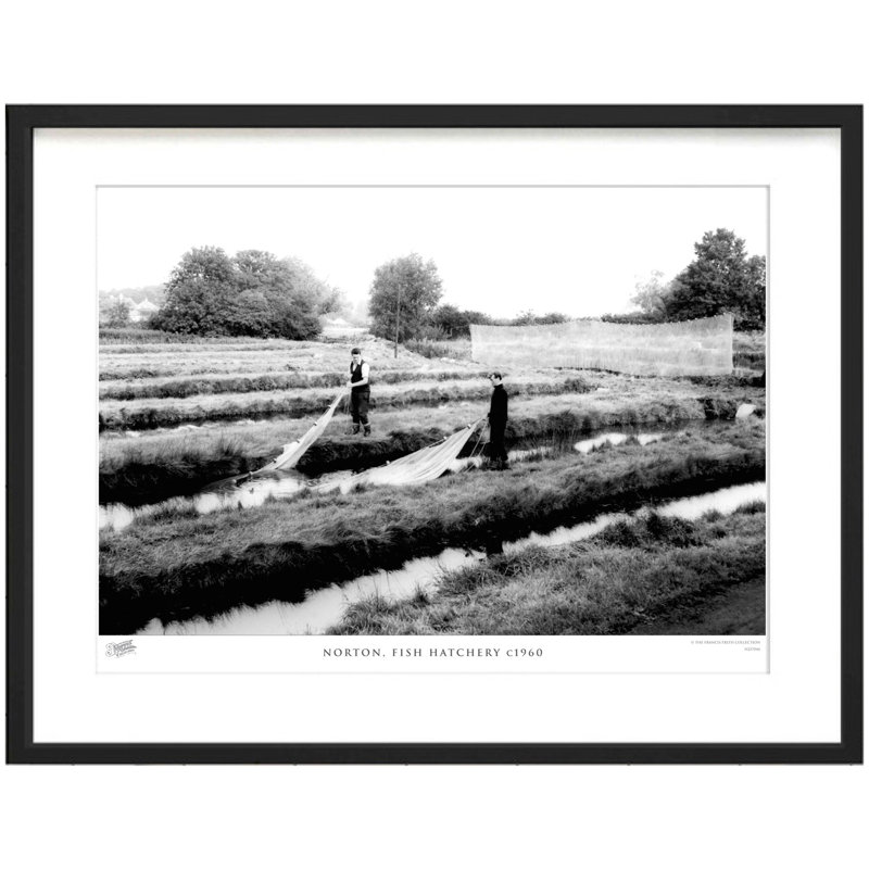 Norton, Fish Hatchery C1960 1 Piece Single Picture Frame Wall Art, 40cm H x 50cm W x 2.3cm D