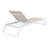 Holli Outdoor Chaise Lounge-2131250560