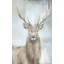 Stag Study I Painting by Jacob Lincoln-64229508
