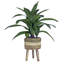Plante artificielle en panier 17,50 po Callender-726351188