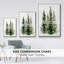 Simple Evergreen II - reproduction de cadre flottant sur toile-1472999863-1472999859