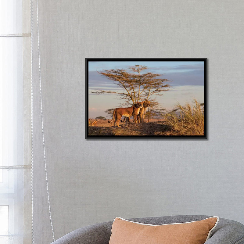 « soeurs », impression sur toile, H 18 po x l 26 po x P 1,5 po, Toile avec cadre noir, Pas de tapis