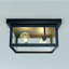 Plafonnier d'extérieur 2 lumières
