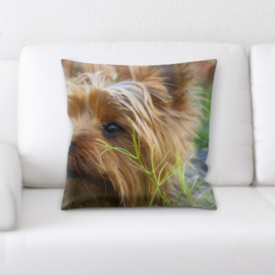 Coussin pour chien
