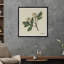 White Blossom I Print-587991969