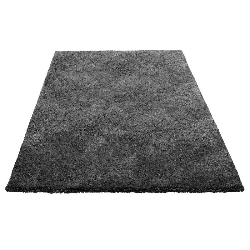 Indoor Plush Area Rugs, 5 x 8 ft Soft Plush Carpet, Furry Shag Area Rugs for Living Room, Bedroom, Sunroom, Modern Home Decor Aesthetic, Non-Shedding, Non-Woven, Slip-Resistant, Dark Gray