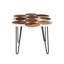 Burnie End Table