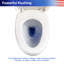 Toilette une pièce Rainlex RX-T24W