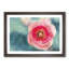 A Pink Hibiscus Flower - Picture Frame Painting-56628219-56628224