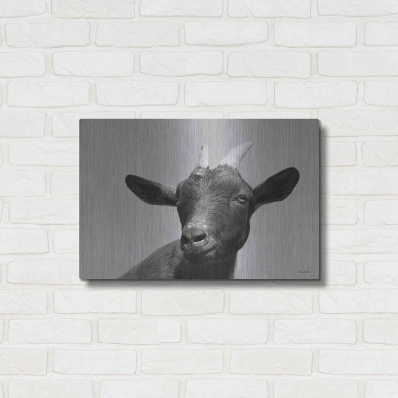 «Lake Tobias Goat I» par Lori Deiter, H 16 po x l 24 po