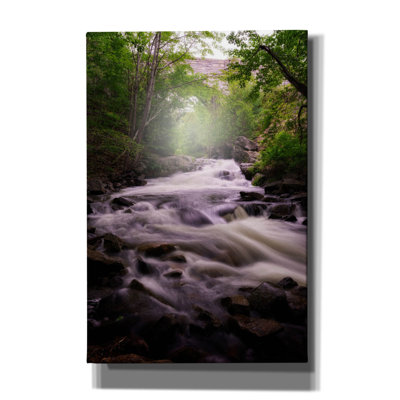 'Spring Flow At Duck Brook' by Rick Berk Canvas Wall Art