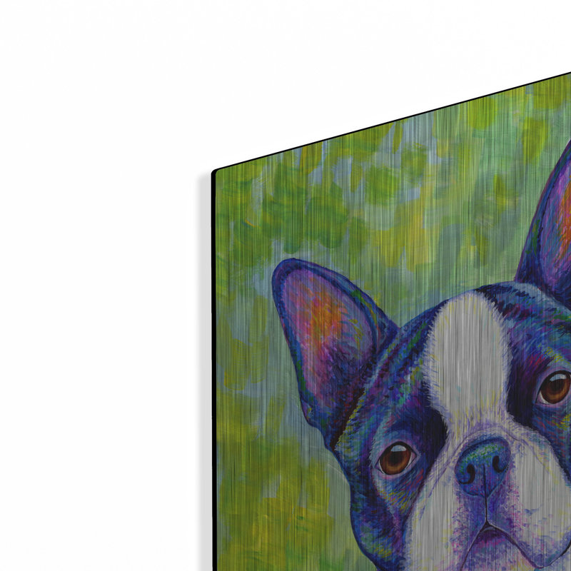 «Boston Terrier» par Rebecca Wang, art mural en métal, H 24 po x l 16 po