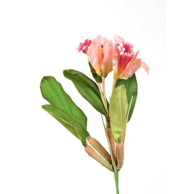 Arrangement