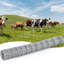 Clôture galvanisée pour bovins, animaux, cour, jardin-126011943