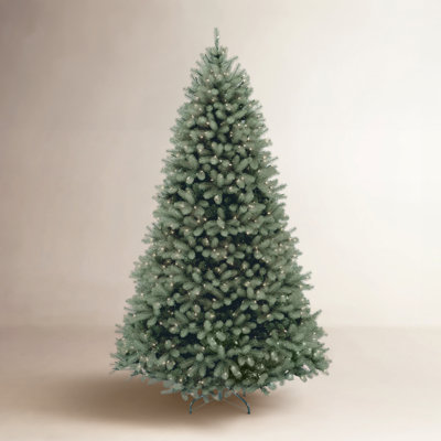 The Holiday Aisle® Downswept Douglas Blue Fir Tree with Clear Lights