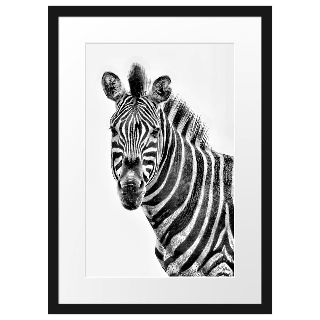 Gerahmtes Poster Zebra im Portrait