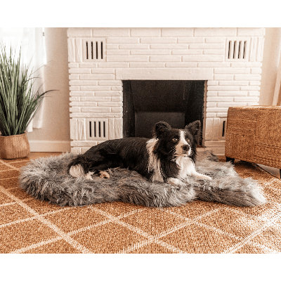 Lit orthopédique pour chien PupRug by Paw.com - Gris anthracite Curve
