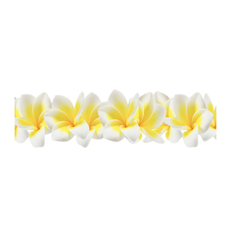 Lueva 50cm W x 100cm L Glass Peel and Stick Panel
