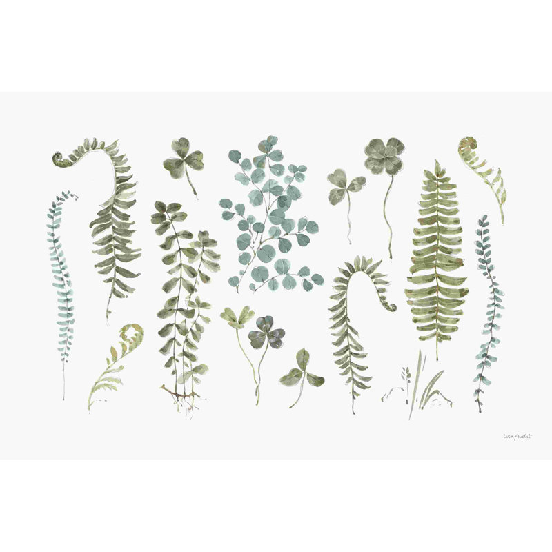 Fern Study 01, H 8 po x l 12 po