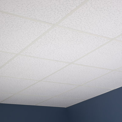 Genesis 2ft x 2ft Printed Pro Ceiling Tiles - Easy Drop-in Installation – Waterproof, Washable and Fire-Rated - High-Grade PVC to Prevent Breakage - Package of 12 Tiles