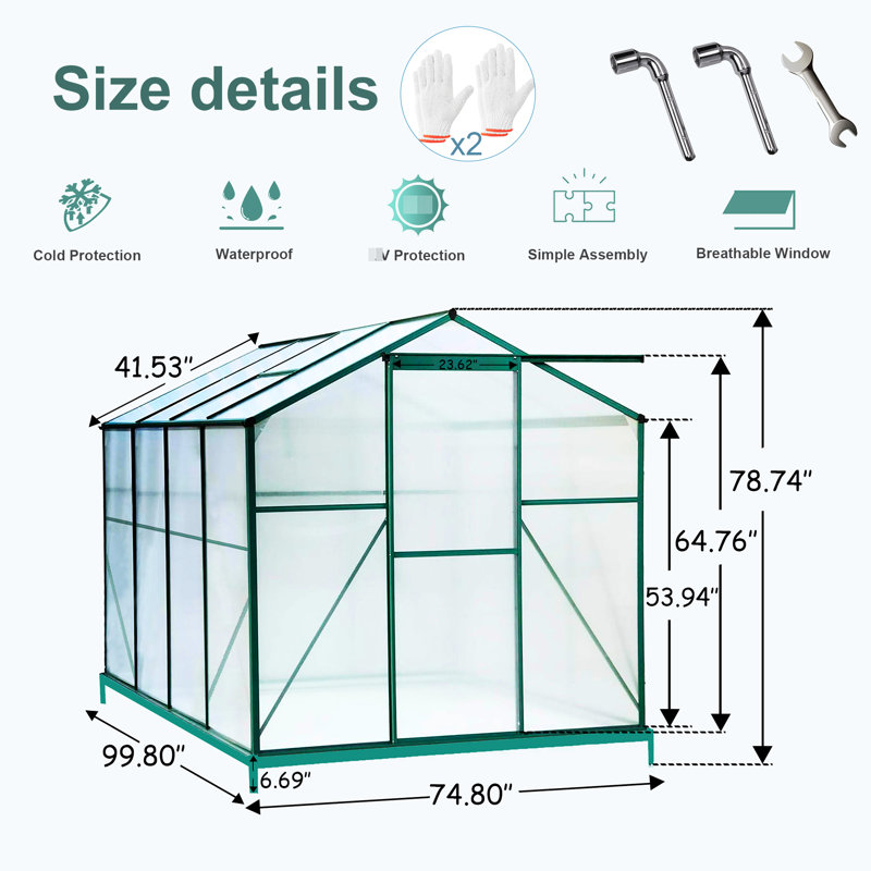 Serre de jardin arrière 6 pi x 8 pi, polycarbonate simple 4 mm, structure de jardinage stable 6 pi x 8 pi, système de drainage efficace en polycarbonate bloquant