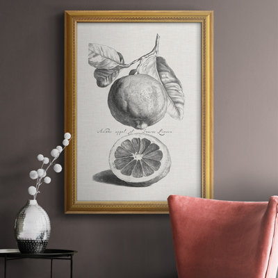 " Antique Lemons & Oranges IV "