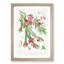 Himalayan Plants XV by W. H. Fitch - Picture Frame Painting Print-55580083-55580084