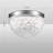 Castor Crystal LED Flush Mount