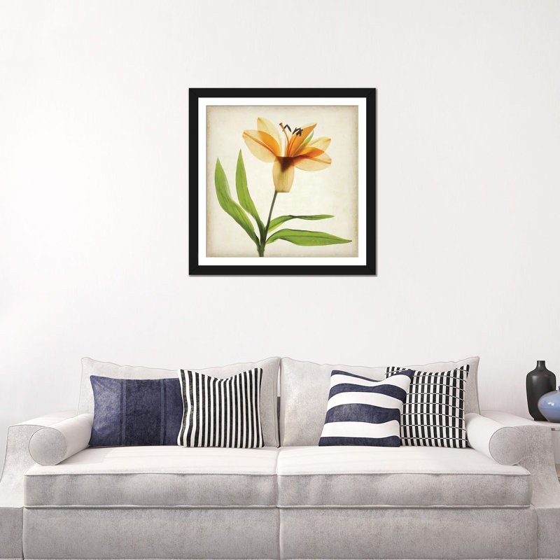 « parchemin floral xi », impression sur toile, H 24 po x l 24 po x P 1 po, Papier d'art encadré noir, Blanc