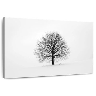 Arbre solitaire Harnek