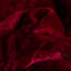 Couverture Gorsuch-1389336204
