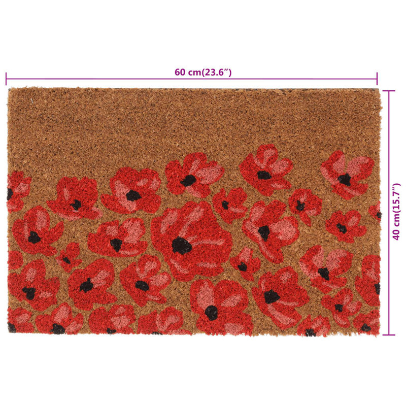Andjoua Non-Slip Indoor / Outdoor Doormat, 40cm W x 60cm L