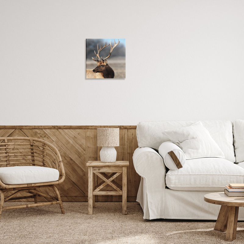 Superbe toile de portrait d'élan, design par Danita Delimont, H 17 po x l 17 po