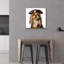 «Fluffy» par Sean Parnell, art mural en verre acrylique-77916322