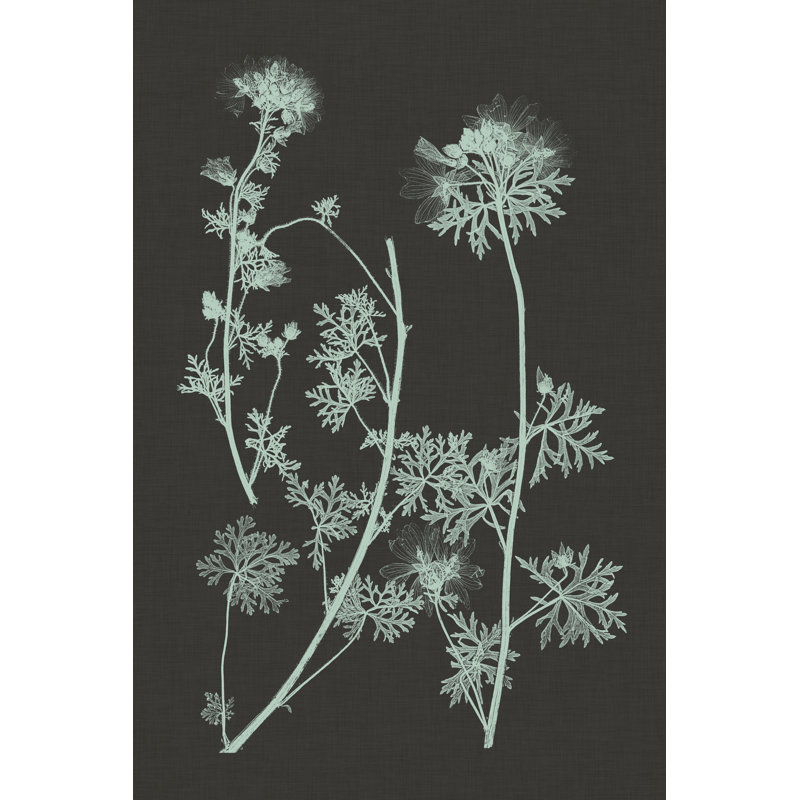 Mint And Charcoal Nature Study IV by Vision Studio - Wrapped Canvas Art Prints, 46cm H x 30cm W