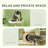 31" Cat Tree Tower With Scratching Posts