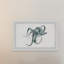 «Wondering Octopus», reproduction encadrée-1546066950
