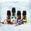Accessoires de bougie