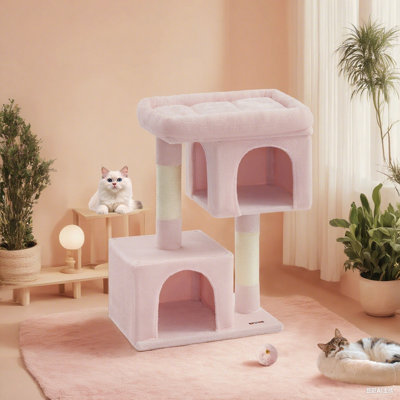 Arbre à chat pour petits chats d'intérieur